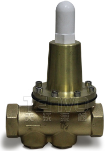 200P可調(diào)式減壓閥實物圖