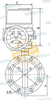 法蘭式電動(dòng)軟密封蝶閥結(jié)構(gòu)圖