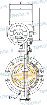 D943H法蘭式電動(dòng)硬密封蝶閥結(jié)構(gòu)圖