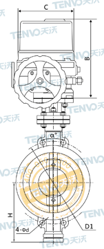 D973H對(duì)夾式電動(dòng)硬密封蝶閥結(jié)構(gòu)圖