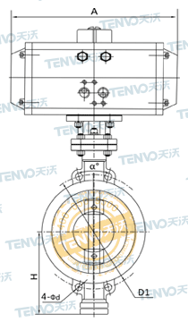 D673H對夾式氣動硬密封蝶閥結(jié)構(gòu)圖