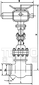 電動對焊式真空隔離閘閥結(jié)構圖