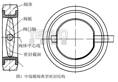 中線蝶閥典型密封結構
